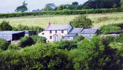 /photos/Little Pillivin